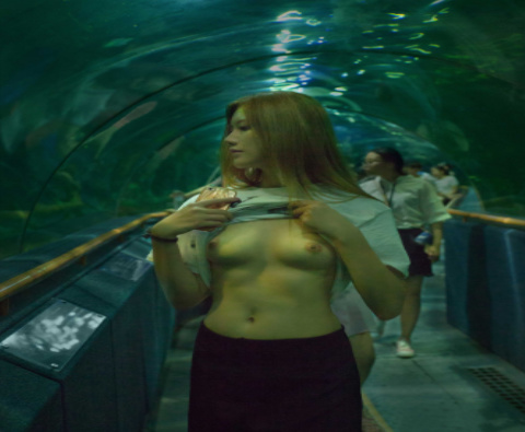 �tģǰ���B�TҰ��O��߶��Ĕz �L��������ͦ 1